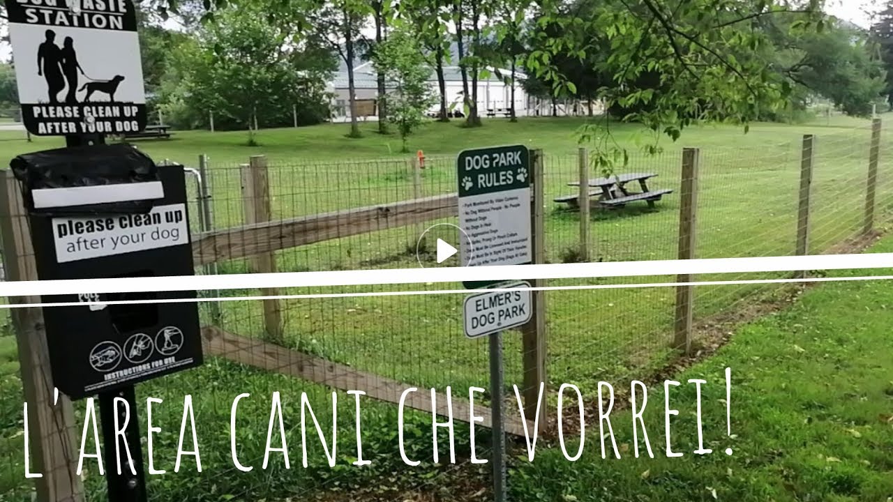 Parco cani vicino a me il paradiso a quattro zampe a portata di zampa