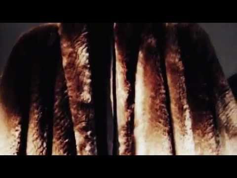 Pelliccia Vero Castoro Originale Made In France - Annunci - Foto 6